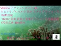 激安アクションカメラのテスト水深約5ｍ位　水中撮影