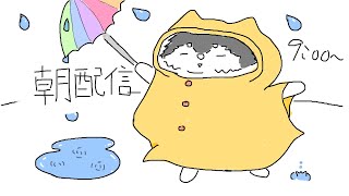 【朝配信】カッパきて傘をさすの無意味でーす！！