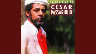 Miniatura de vídeo de "César Passarinho - Os Cardeais"