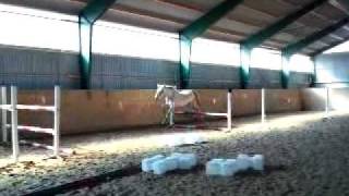 Ibamena Gii 2 Years 7 Months