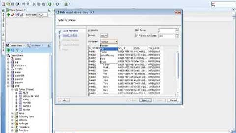 Data Migration From Excel Spreadsheet to Oracle DB Using Oracle SQL Developer