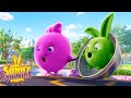 SUNNY BUNNIES - Saving Hopper | Season 2 | Cartoons for Kids