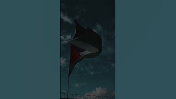 أجمل وأروع تلاوه خاشعه وهادئه بصوت القارئ يزن بن عامر آل وثاب #طوفان_الاقصى #القدس #فلسطين # #