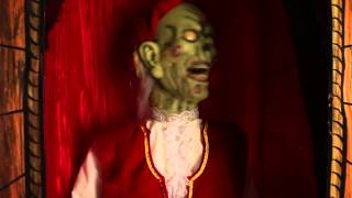 Misfortune Teller Animated Decoration