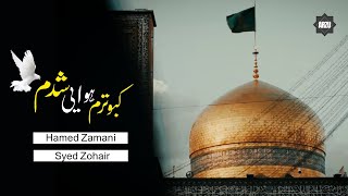 Imam Reza 2 - Hamed Zamani & Helali | Urdu & English Subtitles | نماهنگ امام رضا 2 - حامد زمانی Resimi