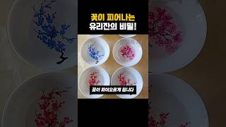 꽃이피어나는 유리잔의 비밀