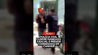 POLÍCIA CIVIL CUMPRE MANDADO JUDICIAL E PRENDE CONDENADO EM CANINDÉ