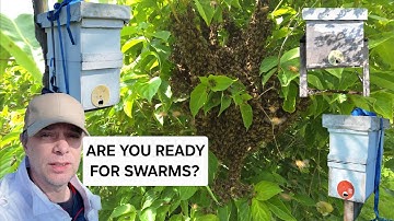 swarm traps outs, and adding frames to failed hives.