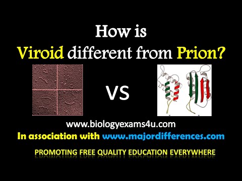 Video: Skillnaden Mellan Prions Och Viroids