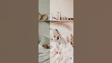 Bohemian Vibes Lightroom Presets | Bohemian Presets | Boho Presets