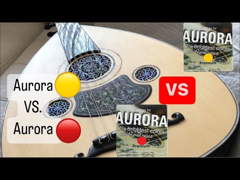 مقارنة ارورا الاحمر وارورا الاصفر على عود واحد صناعة المهندس ابراهيم سكر موديل عام