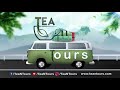 Tea n tours