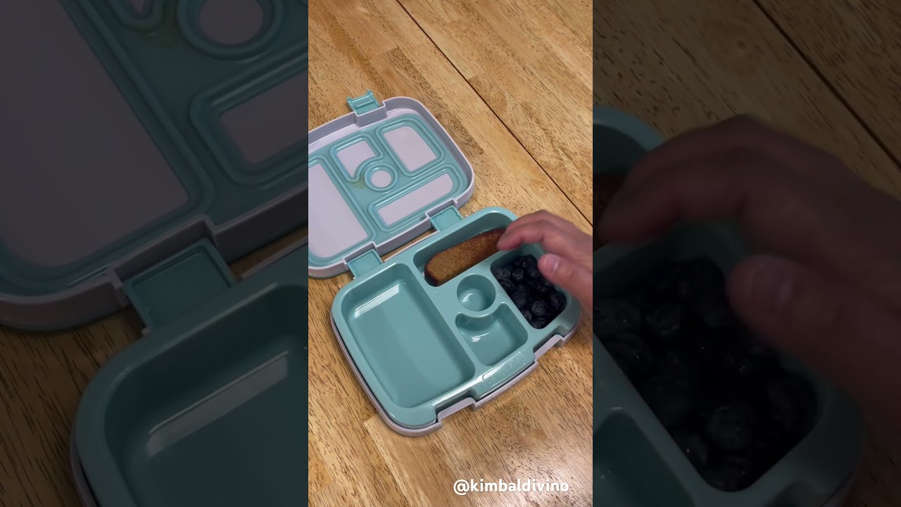 toddler snacks idea using my @bentgo kids box #lunchbox #shortvideo #snackbox #bentgo #snackideas