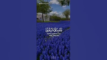 واصبر على ما يقولون واهجرهم هجرا جميلا || بصوت القارئ عبدالرحمن مسعد || #قرآن_كريم #holy_quran512