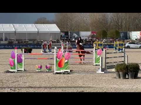 Nixon van't Meulenhof - CSI2** Lier - GP - 24 03 2024 - JO