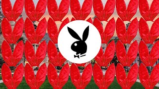 Playboy
