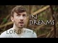 Lord of the Rings - In Dreams - Peter Hollens (breaking of the fellowship)