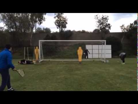 როგორ ავარჯიშებენ გიორგი ლორიას ოფიში