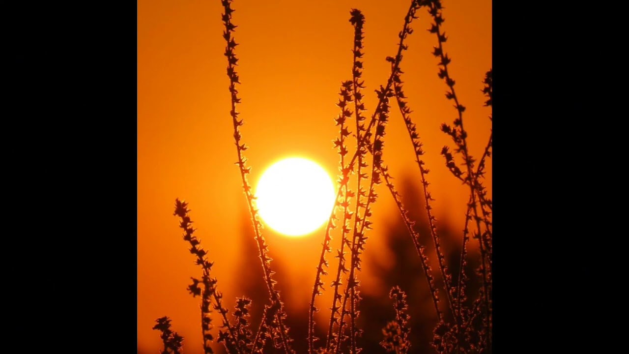 Unidentified Song ("I'm Always You") [Incomplete]