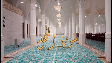 سورة النحل بصوت القارئ ياسين الجزائري - Sourat An-Nahl Yassin Al Jazairi