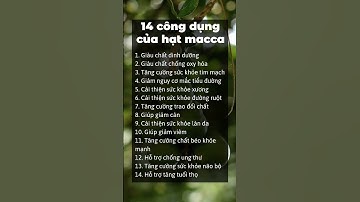 14 công dụng của hạt macca | Trường Health #songkhoe247