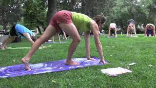 Yoga Rocks the Park
