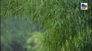 Sholawat Asyghil GS Lirik download NCS MP3 Download No Copyright