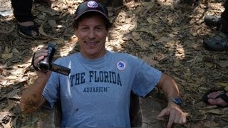 Crawling Through Cu Chi Tunnels-3 Minutes of Hell! (With Cu Chi Facts/Figures)