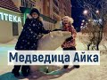 #Норильск. VLOG/ НОВОГОДНИЕ КАНИКУЛЫ В НОРИЛЬСКЕ. Городская ёлка. Медведица Айка - чужая среди своих