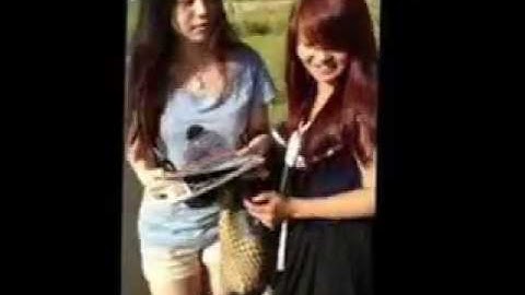 ISYS100 Assignment 3