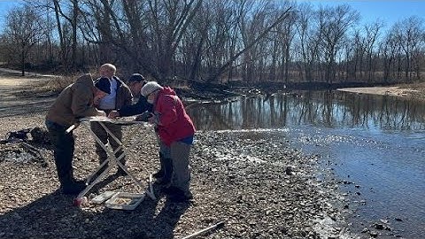 11. Level 2 Biological Monitoring