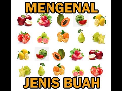 Belajar Mengenal Jenis Buah  buahan Lengkap Dengan Gambar  