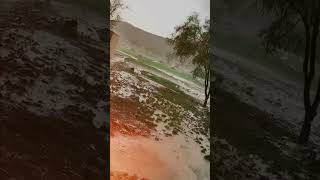 Mari panos karak