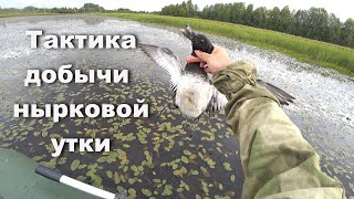 Тактика охоты на нырковую утку. Раскрываю тонкости. Охота на утку с лодки.