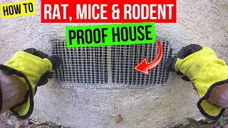How To Protect your Home from Rats, Mice & Rodents -Jonny DIY