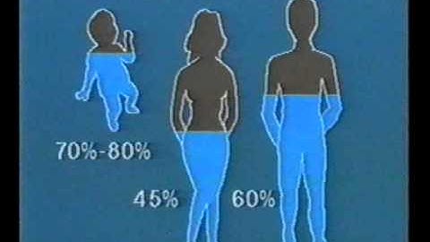 Homeostasis 2 The Sea Within