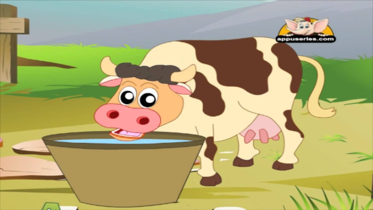 Animal Sounds in Kannda Cow YouTube Animal Sounds in Kannda Cow YouTube