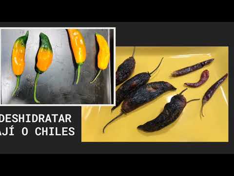 Video: ¿Cómo secar chiles al horno?