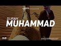 Surah muhammad      tariq mohammed