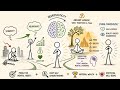 The Garden of the Mind: Thoughts and Life