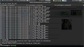 Brucon 2013 - OWTF MiTM Proxy and Reporting Demo