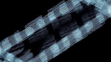 scan processing 17122016 002