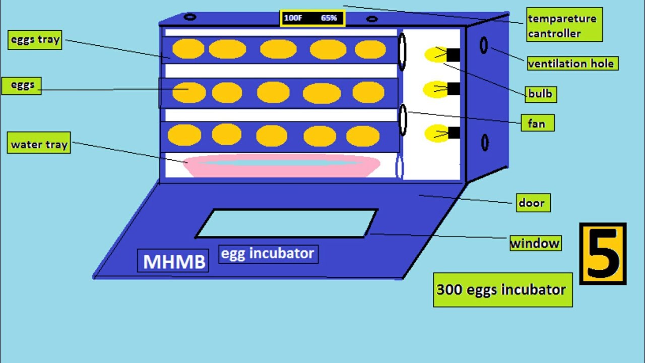 Homemade egg incubator diagram idea - YouTube