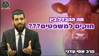 מה מרויח מי ששומר את החוקים??? - הרב אסי עדני