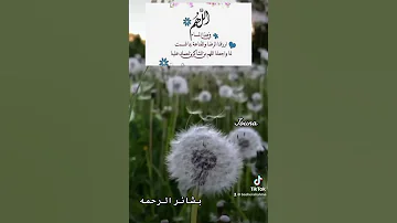 اللهم يارب في هذا المساء ارزقنا رزق ا لم نتوقعه قران قران كريم Quran دعاء دعاء 