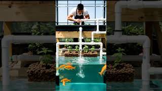 Building a Mini Ecosystem! 🐟🥬 Aquaponics System Setup #Aquaponics #Sustainability