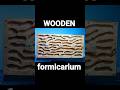 Wooden Ant Farm | D colony