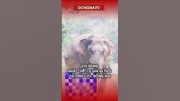 Voi rừng quật chết cụ già 66 tuổi tại Vĩnh Cửu, Đồng Nai