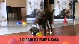 Games to play at home screenshot 3