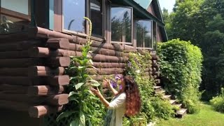 Mullein - A Walk in the Garden with Herbalist Rosemary Gladstar screenshot 3